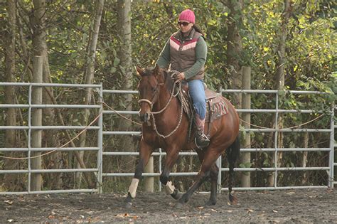 All About Flying Lead Changes - - The Northwest Horse Source