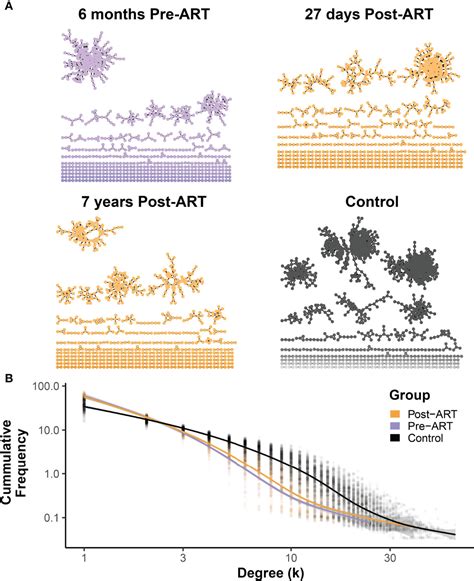 Frontiers Serial Analysis of the T Cell Receptor β Chain Repertoire