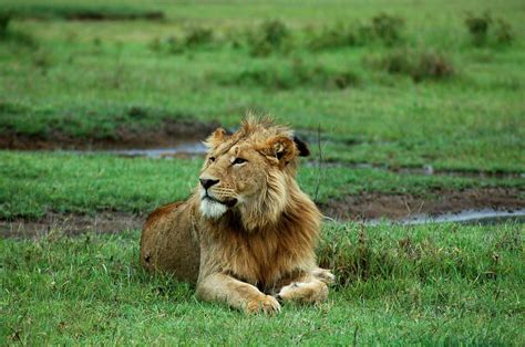 Days To Ngorongoro Crater Tarangire Lake Manyara National Parks