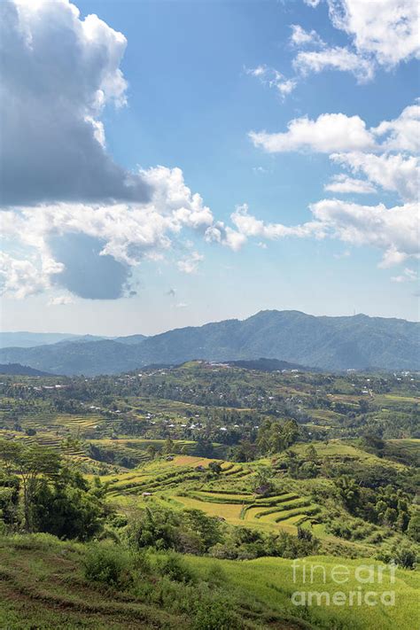 Portrait View Of Golo Cador Rice Terrace Photograph By Danaan Andrew