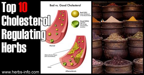 Herbs For Cholesterol