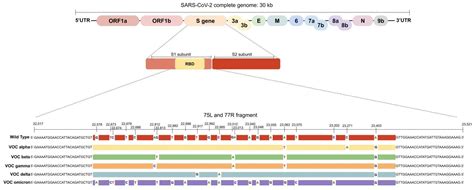 Diagnostics Free Full Text Sars Cov Variants Of Concern