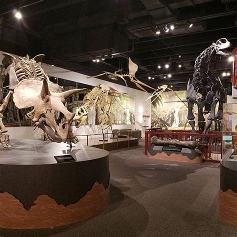 Dinosaur Hall | Arizona Museum of Natural History