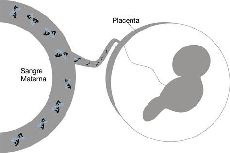 Tpni Y Fetal Dataexome