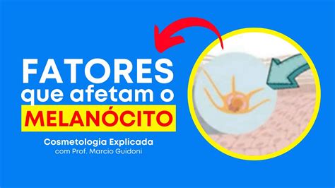 FATORES QUE AFETAM O MELANÓCITO Cosmetologia Explicada Prof