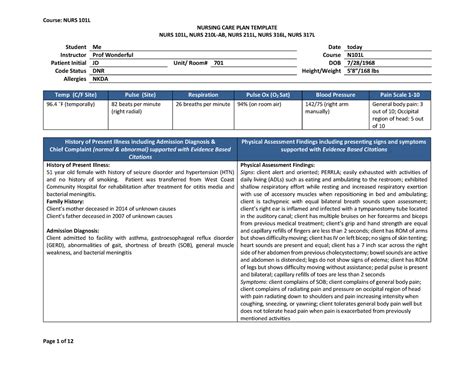 Nursing Care Plan Sample Bb Template Pdf Nursing Care Plan Template