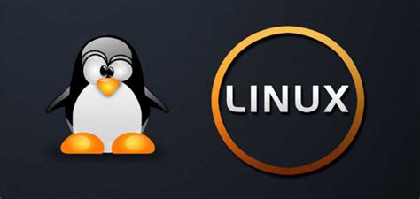 ¿cuáles Son Las Diferencias Entre Unix Y Linux Y Sus Características Mira Cómo Se Hace