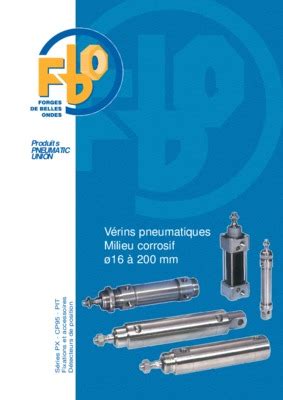 Schemas De Puissance Des Verins Pneumatiques Pdf Notice Manuel D