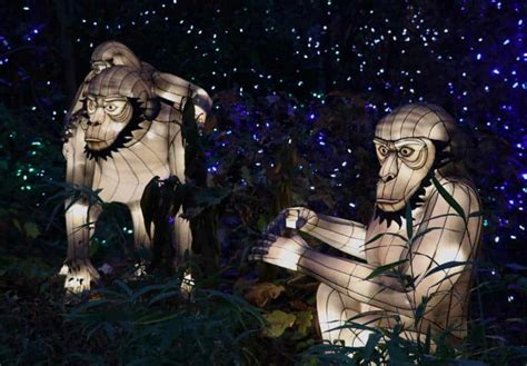 5 Reasons Why the Cincinnati Zoo Festival of Lights is the Perfect ...