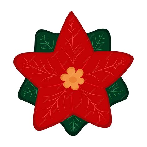 Desenho Da Flor De Natal - 8