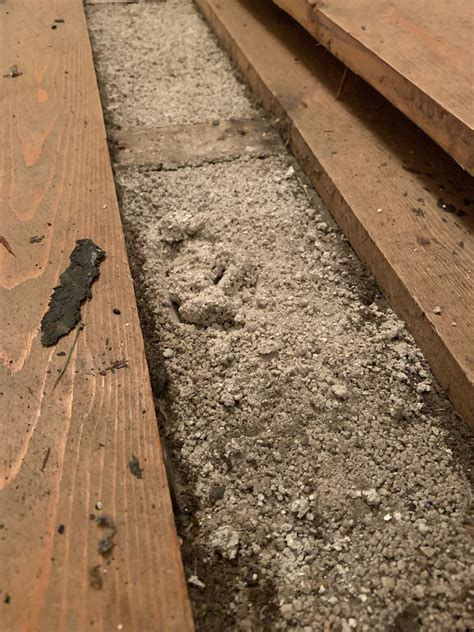 Infill Between Ground Floor Joists? | DIYnot Forums