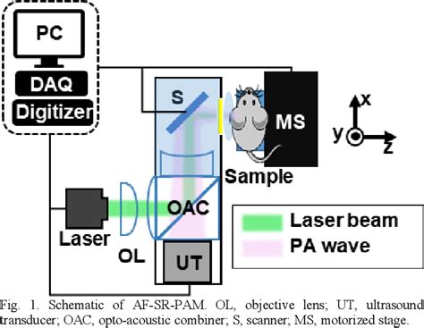 Figure From Agent Free Super Resolution High Speed Photoacoustic