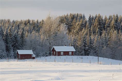 Swedish winter scenery stock photo. Image of peaceful - 17062856