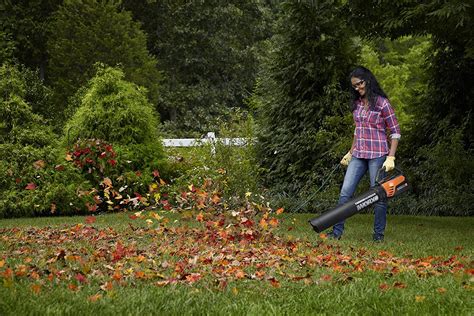 Best Leaf Vacuum Mulcher: Top 5 Reviews for 2017