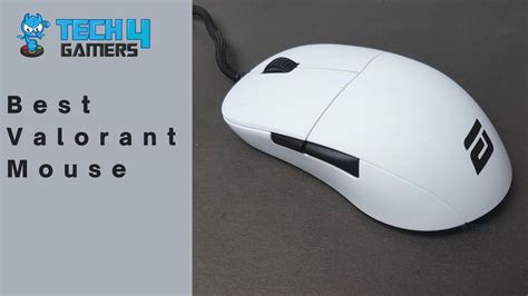 Best Mice For Valorant Online Price Save Jlcatj Gob Mx