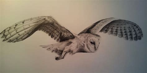 Owl Flying Drawing at GetDrawings | Free download