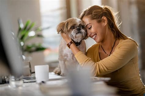 Comment enregistrer votre chien en tant qu animal de soutien émotionnel