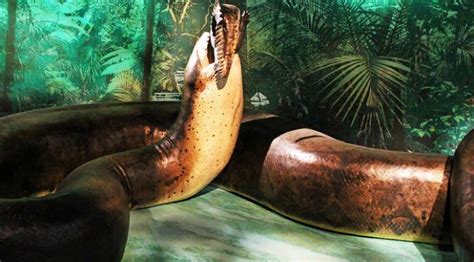 Titanoboa Ular Terbesar Di Dunia Ini Hidup Lagi Global Liputan