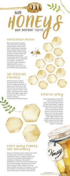 Bees Ideas Bee Keeping Bee Hive Bee