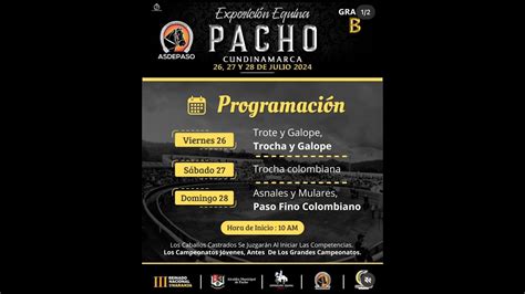 EXPOSICION EQUINA GRADO B PACHO CUNDINAMARCA DIA 3 PASO FINO