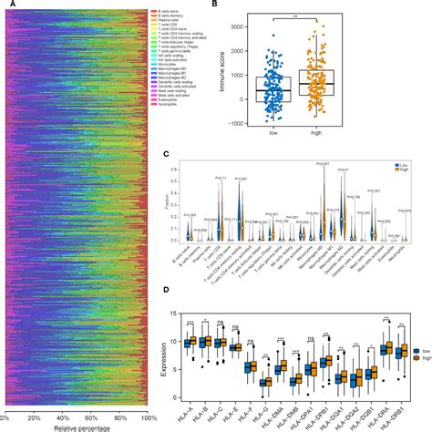 Frontiers Integrated Analysis Revealing A Novel Stemness Metabolism