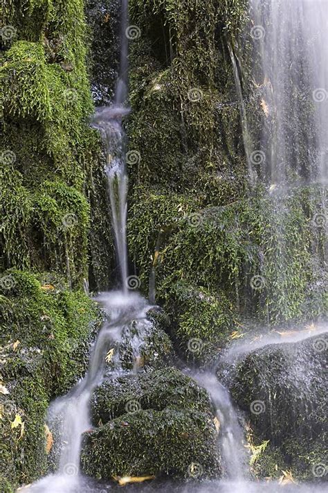 Trickling Water Over Moss Covered Rocks Stock Image Image Of Creek