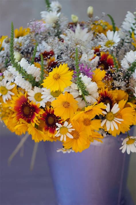 Beautiful Bouquet of Wild Flowers Stock Image - Image of field, closeup: 28676177