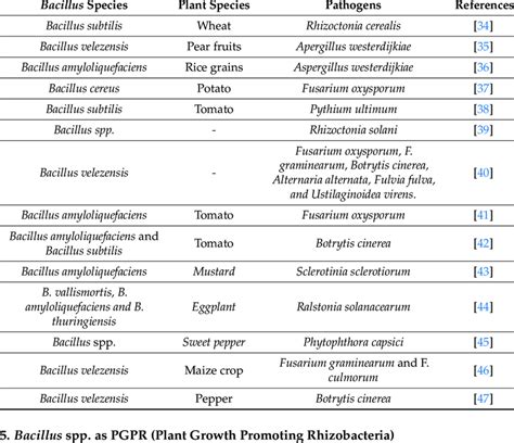 bacillus species  reported  biocontrol agents