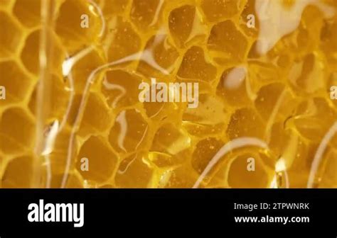 Raw Honeycombs With Pouring Pure Golden Honey Elixir Amazing Tasty