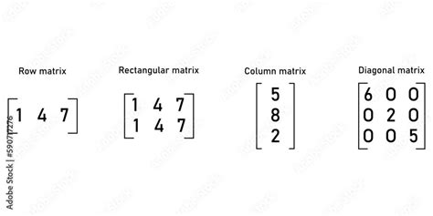 The different types of matrices in mathematics. Row, rectangular ...