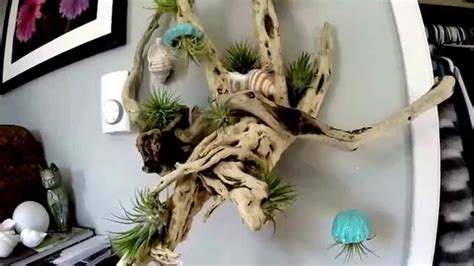 Air Plant Driftwood Display With Shells And Charms Youtube