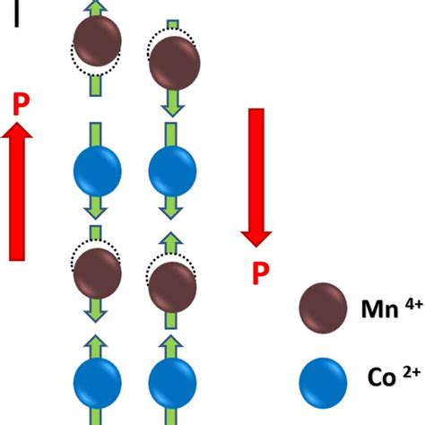 Representation Of Induced Electric Polarization Via Spin Orbit Coupling