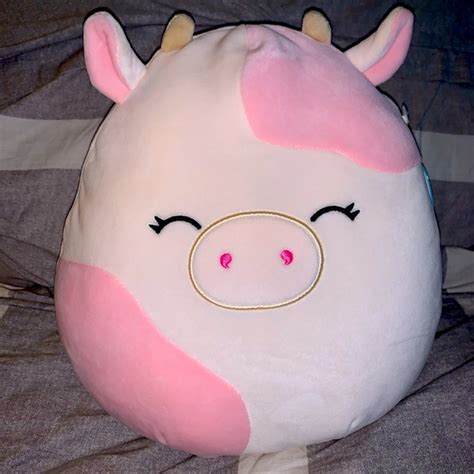 Squishmallows Toys Caedyn The Cow Squishmallow Poshmark