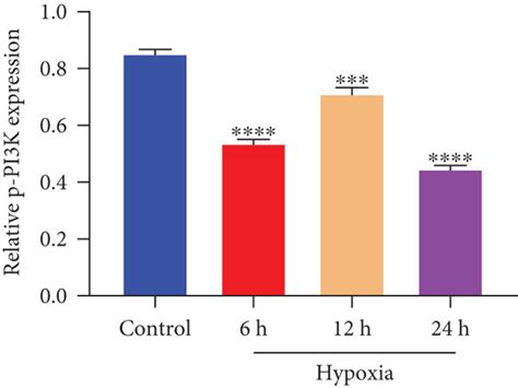 Increased Liflifrgp130 Activity And Reduced Pi3kakt Activity In