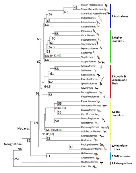 Kuhl Et Al An Unbiased Molecular Approach Using Utrs Resolves The