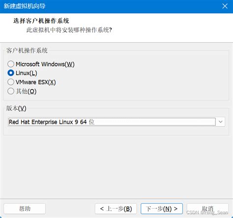 使用vmware Workstation一步一步安装rocky Linux 9vmware安装rockylinux Csdn博客