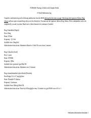 Nurs Ao Iv Skills Station Patient Medication Log Form And