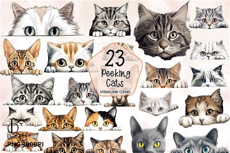 Peeking Cats Sublimation Clipart Png Graphic By Lq Design Creative