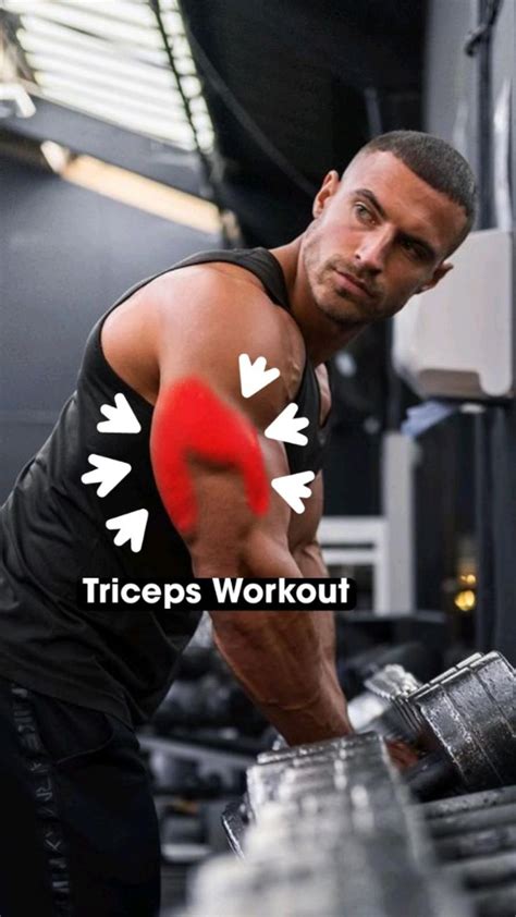 Best Triceps Workout | Triceps workout, Bicep and tricep workout, Arm ...