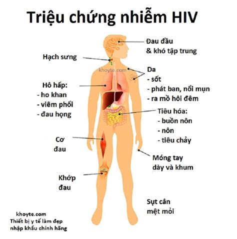 HIV AIDS là gì nguyên nhân triệu chứng cách điều trị EU Vietnam