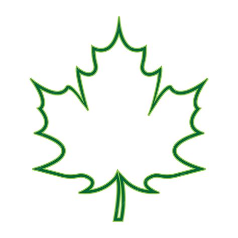 Premium Vector | Maple leaf vector illustration