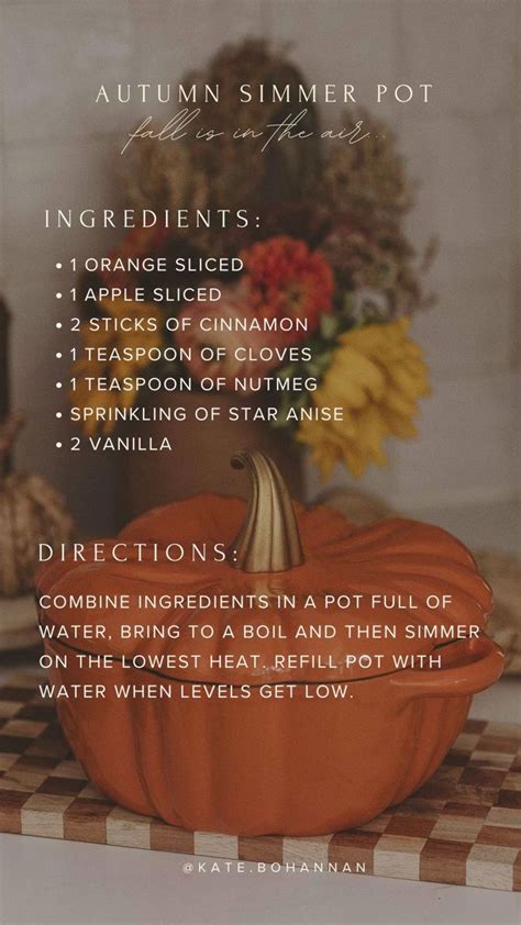 Homemade Fall Simmer Pot Recipe