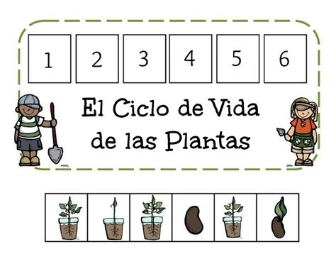 Menta Más Chocolate Recursos Y Actividades Para EducaciÓn Infantil Actividades Sobre El Ciclo