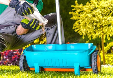 How To Fertilize Your Lawn Correctly The Unlimited Guide