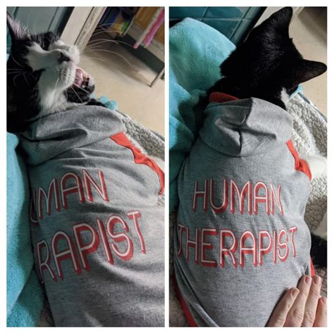 This cat hoodie - Meme Guy