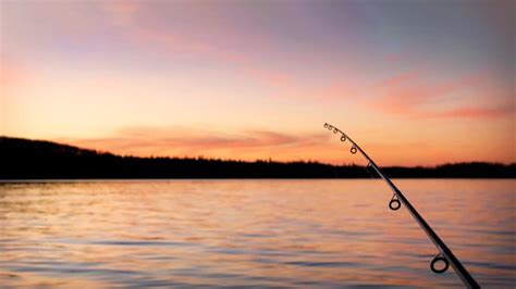 Fishing Pole Photography