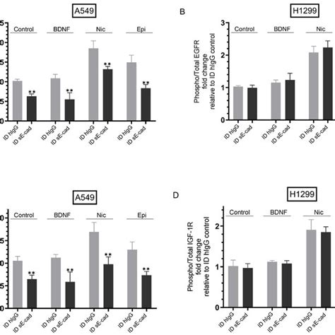 Immunodepletion Of Se Cad Inhibited Activation Of Egfr And Igf R In