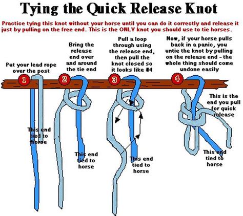 How To Make A Rope Halter For A Mini Horse Quick Release Knot Horse