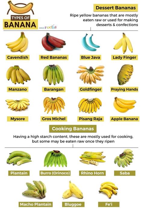 Banana varieties - photo