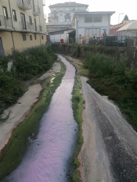 Il Torrente Salzola Si Tinge Di Rosa Nuovi Scarichi Abusivi Nel Tratto